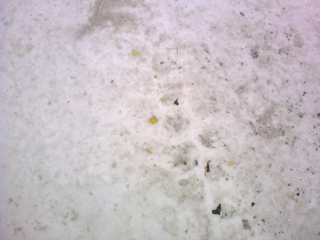 her ser dere litt av lakkflaka som ligger på bakken