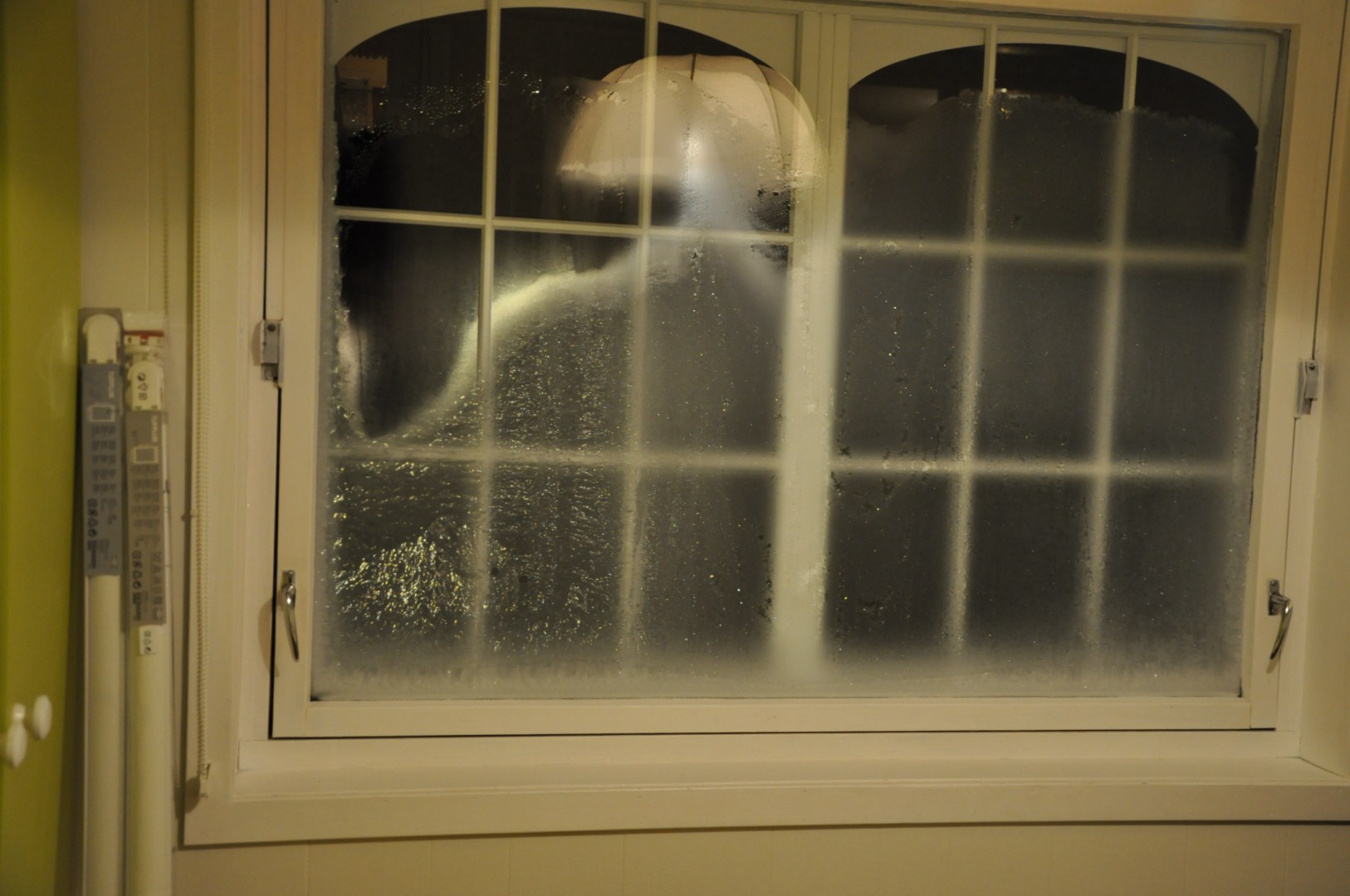 DSC_0009 [HDTV (1080)].JPG