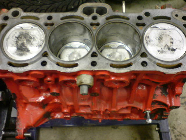 DSC05006.jpg