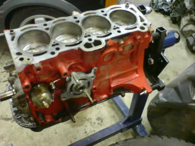 DSC05013.jpg