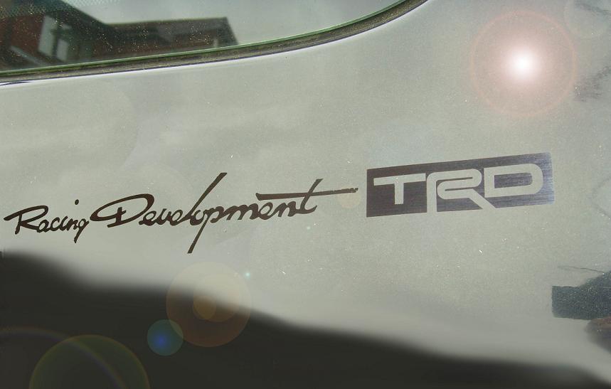 TRD_0020_Banner.jpg