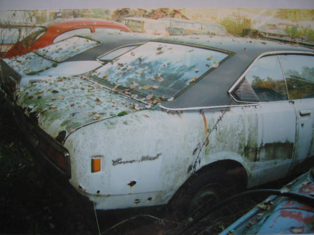 142_4256.JPG