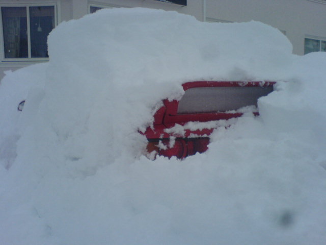 17mars 2010.JPG