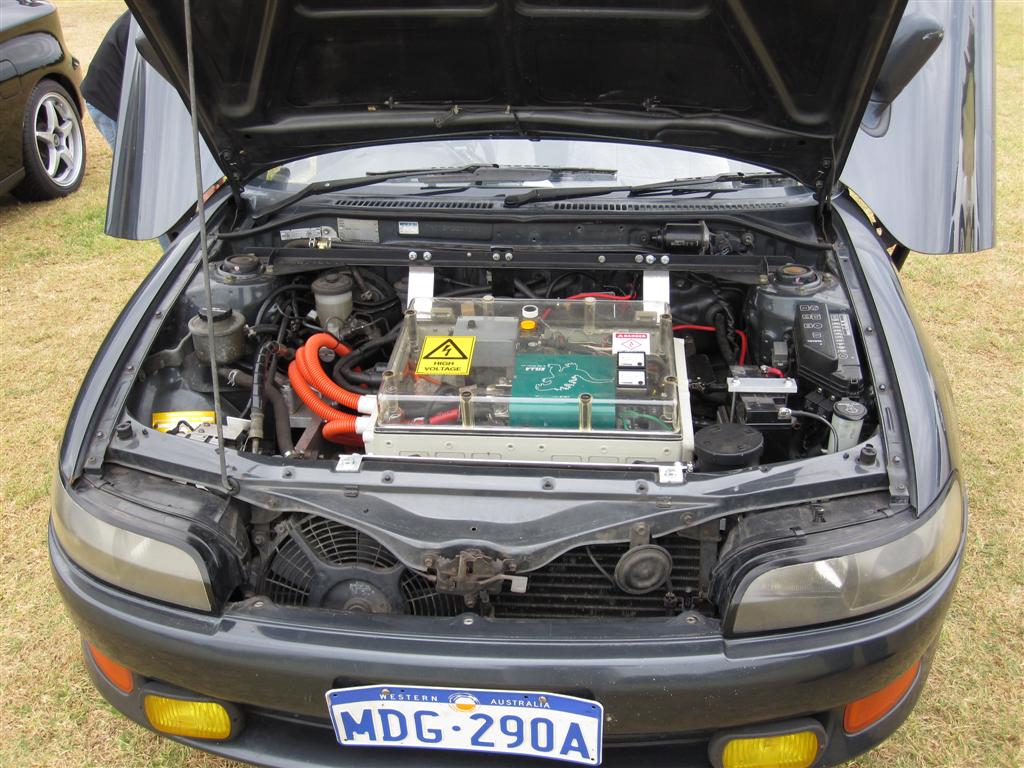 IMG_0067 (Large).jpg