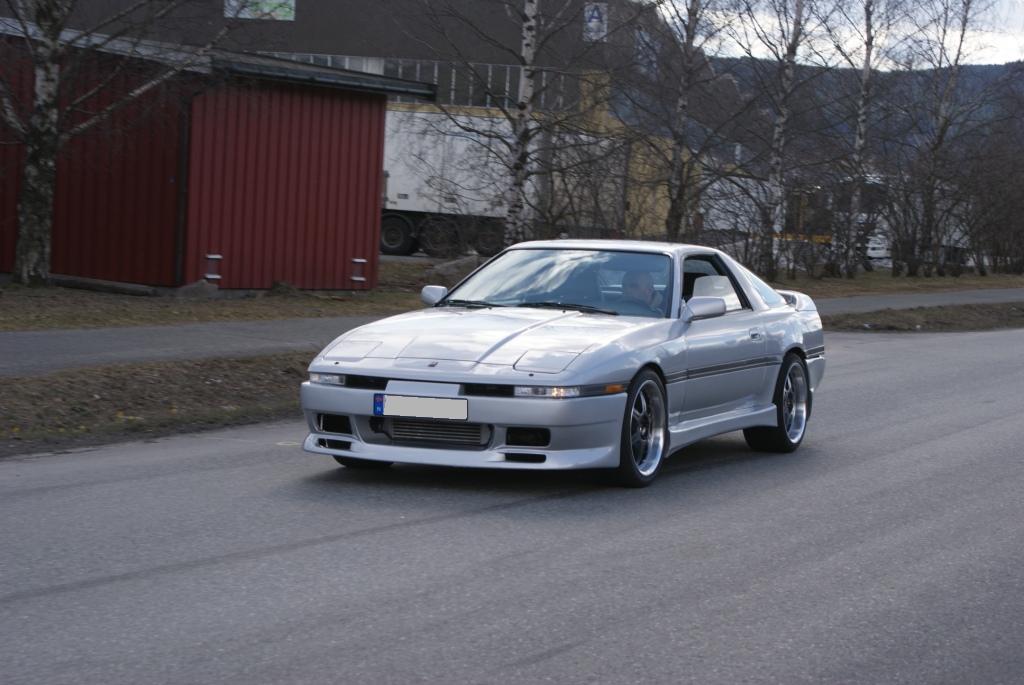 supra3.jpg
