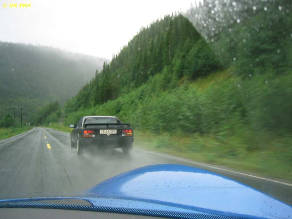 IMG_0116.jpg