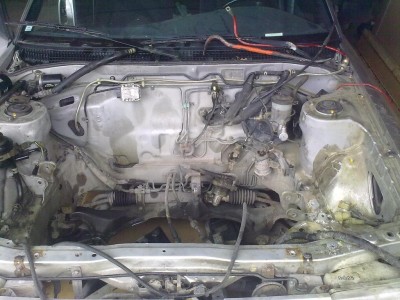 02062010009halv.JPG