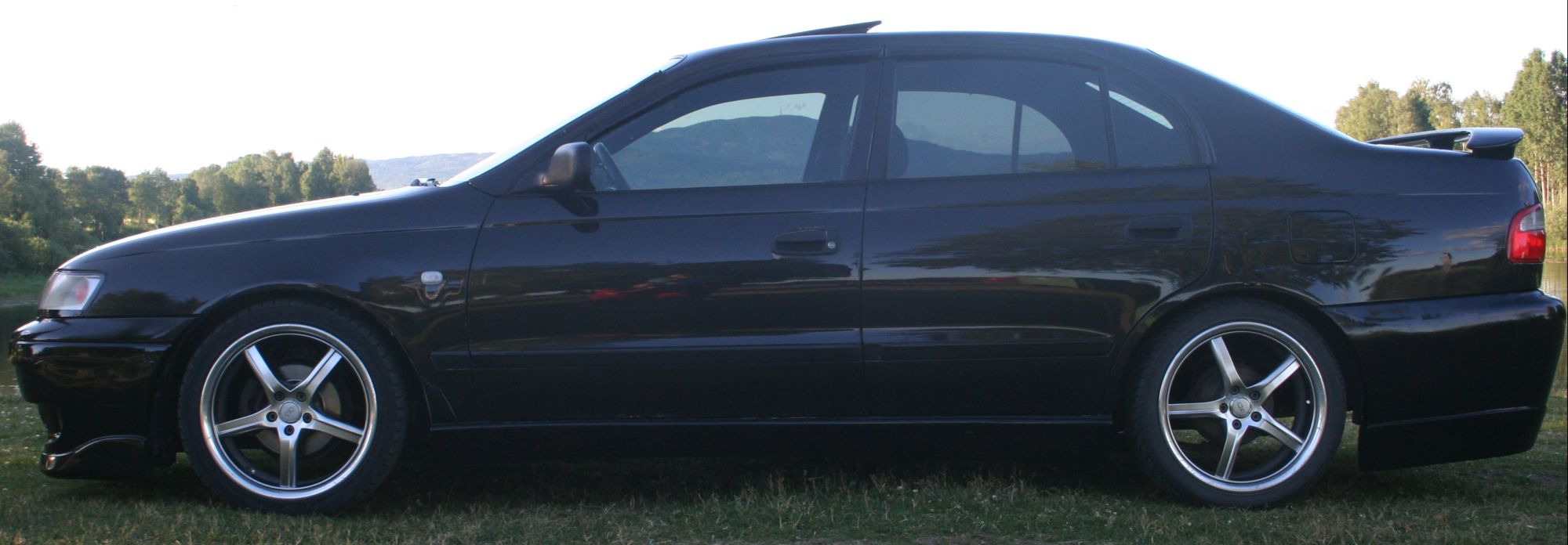 Carina E 06.07.10 004.jpg