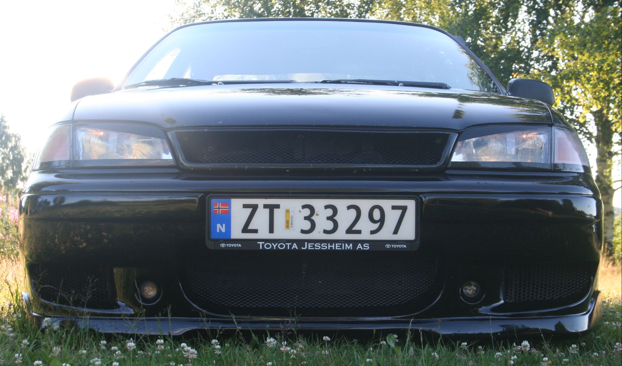 Carina E 06.07.10 027.jpg