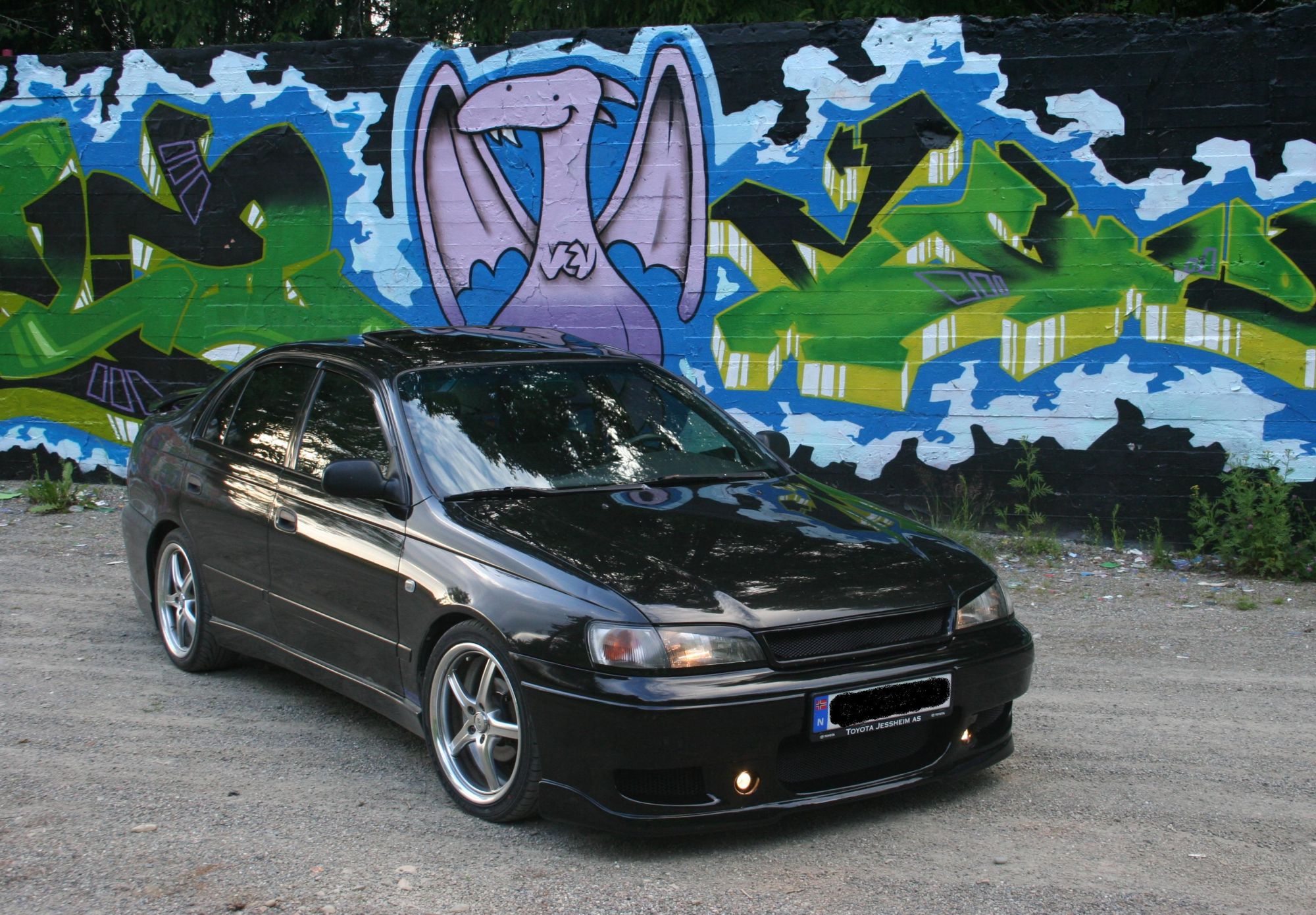 Carina E 06.07.10 001.jpg