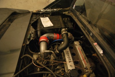DSC_0554.JPG