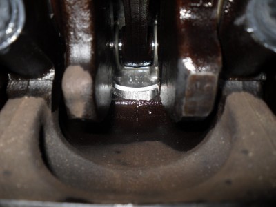 SDC10679a.jpg