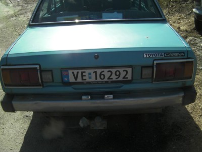 SANY0331.JPG
