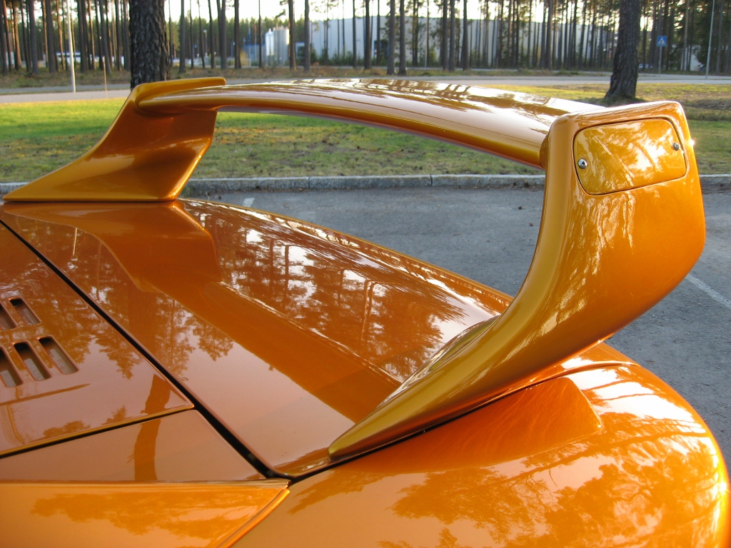 IMG_5746 vinge (1024x768).jpg