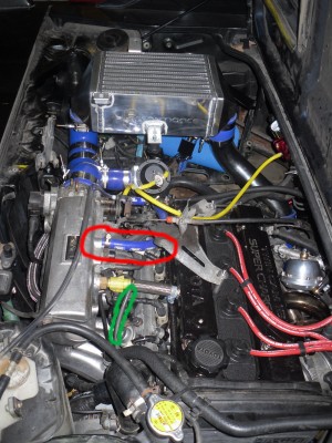 SDC11373.jpg