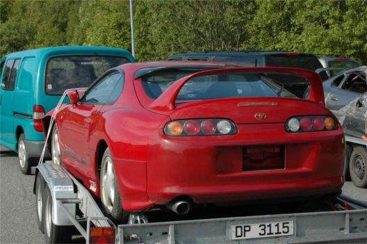 085_Rod_Supra_SZ_bakfra_narme.jpg
