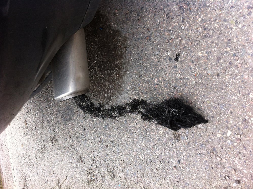 Innmaten i potta på vei ut...