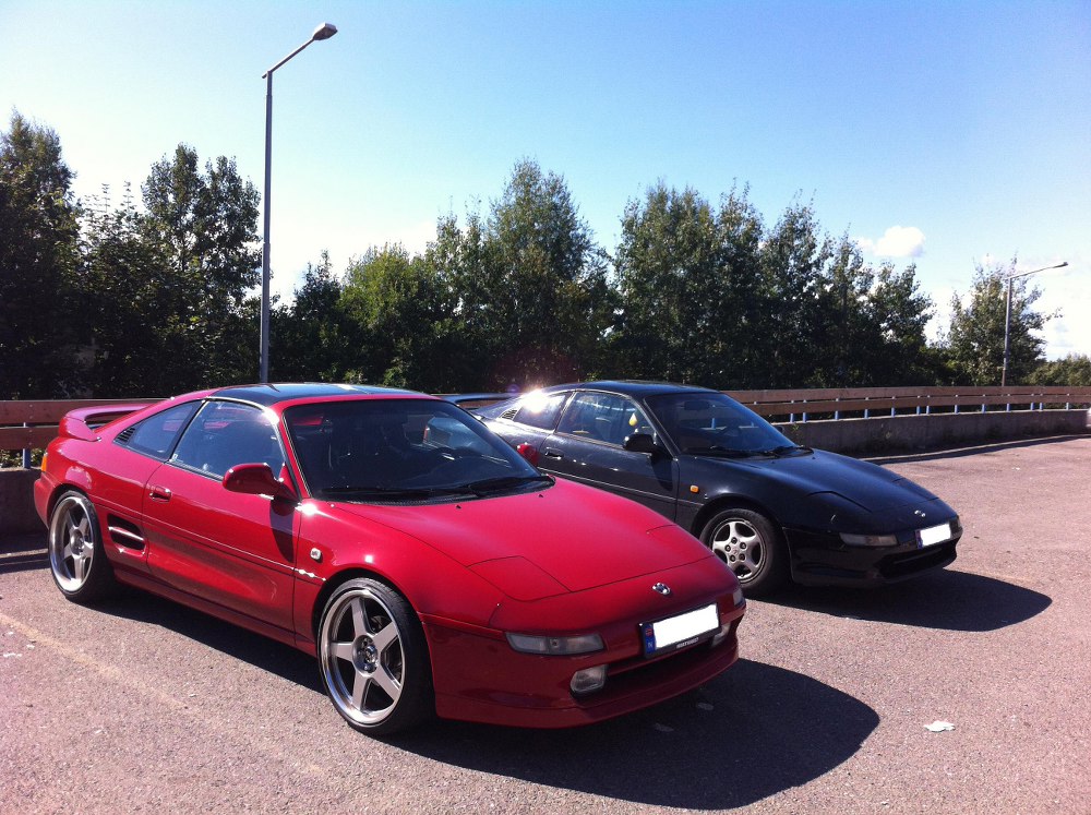 Gullet og gråsteinen