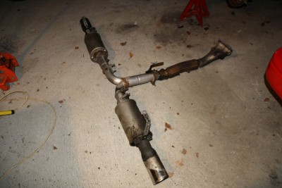 Gunn sine valper 029.jpg