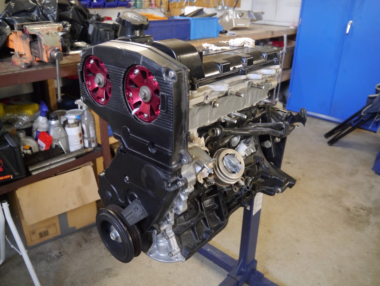 P1040630 (Large).JPG