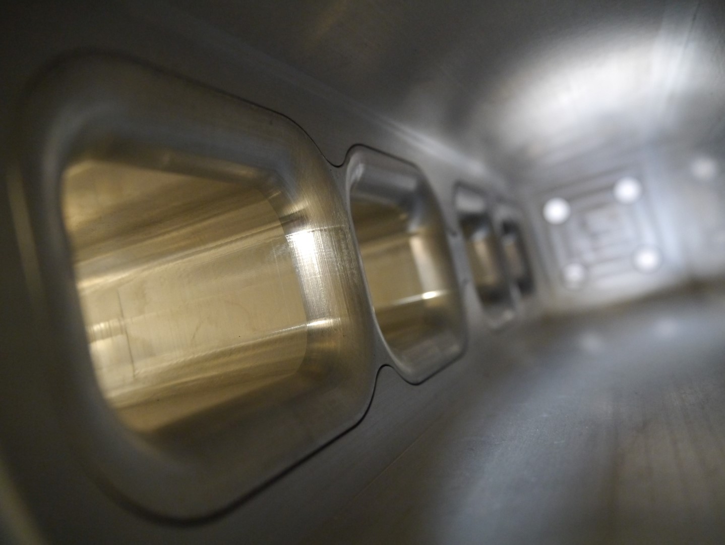 P1040636 (Large).JPG