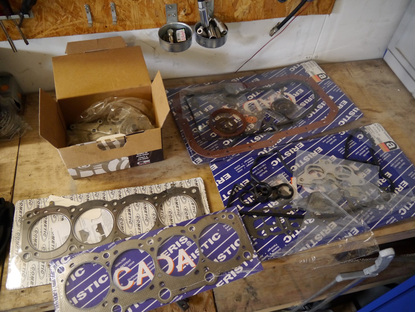 P1040637 (Large).JPG