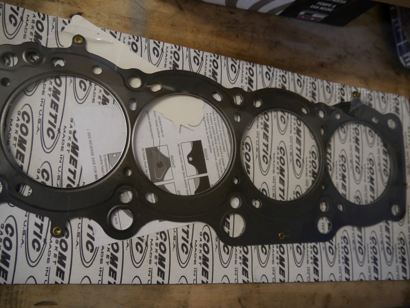 P1040638 (Large).JPG