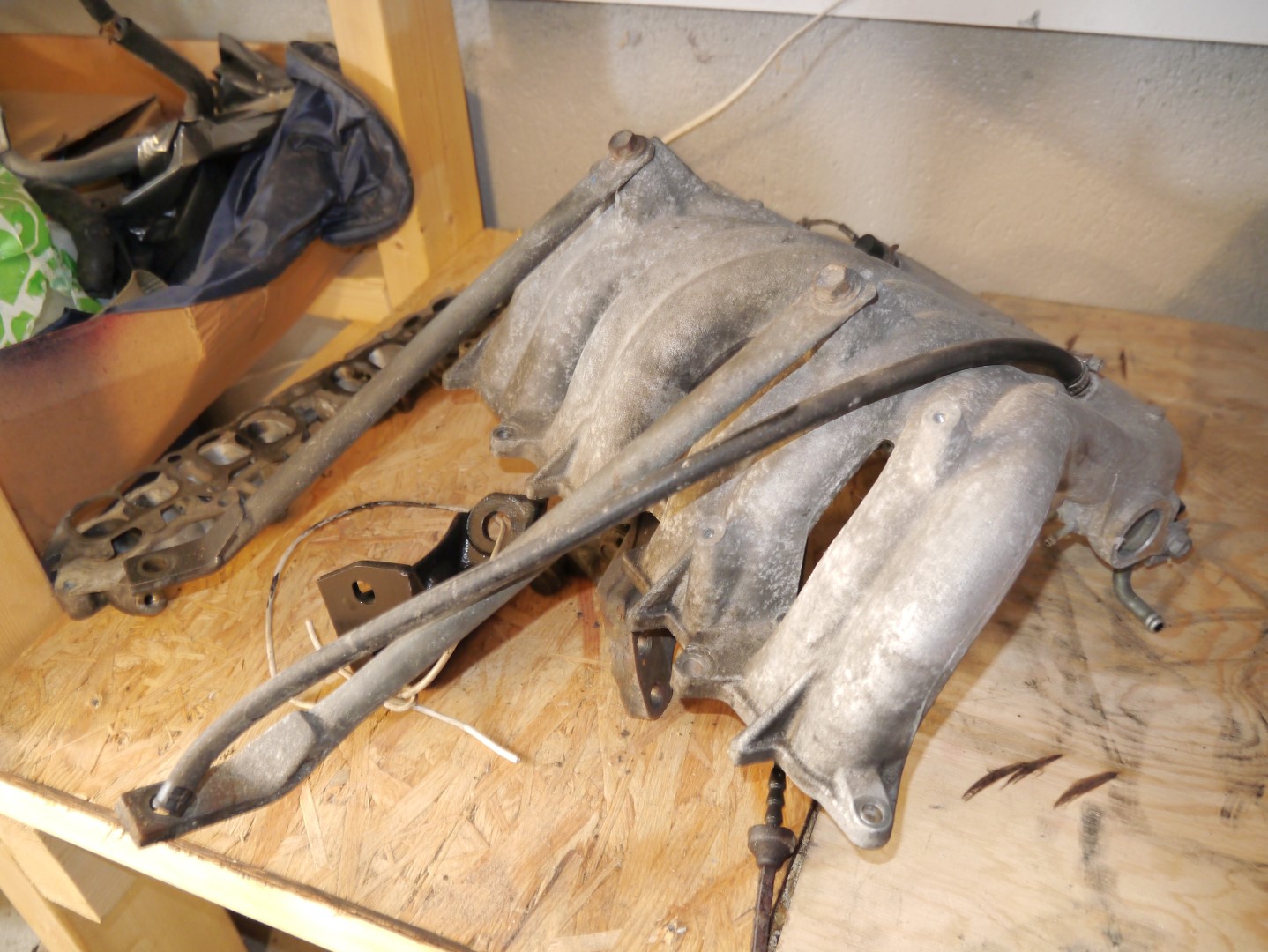 P1040644 (Large).JPG