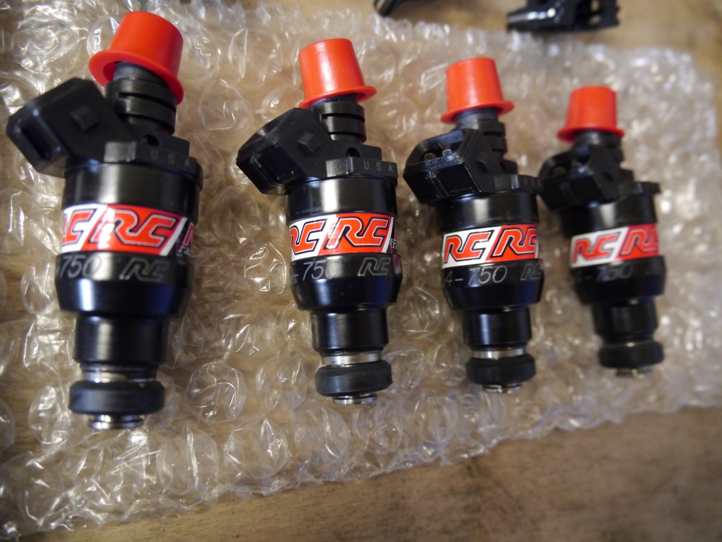 P1040649 (Large).JPG