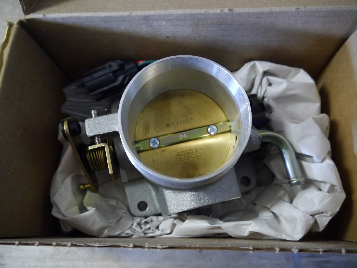 P1040651 (Large).JPG