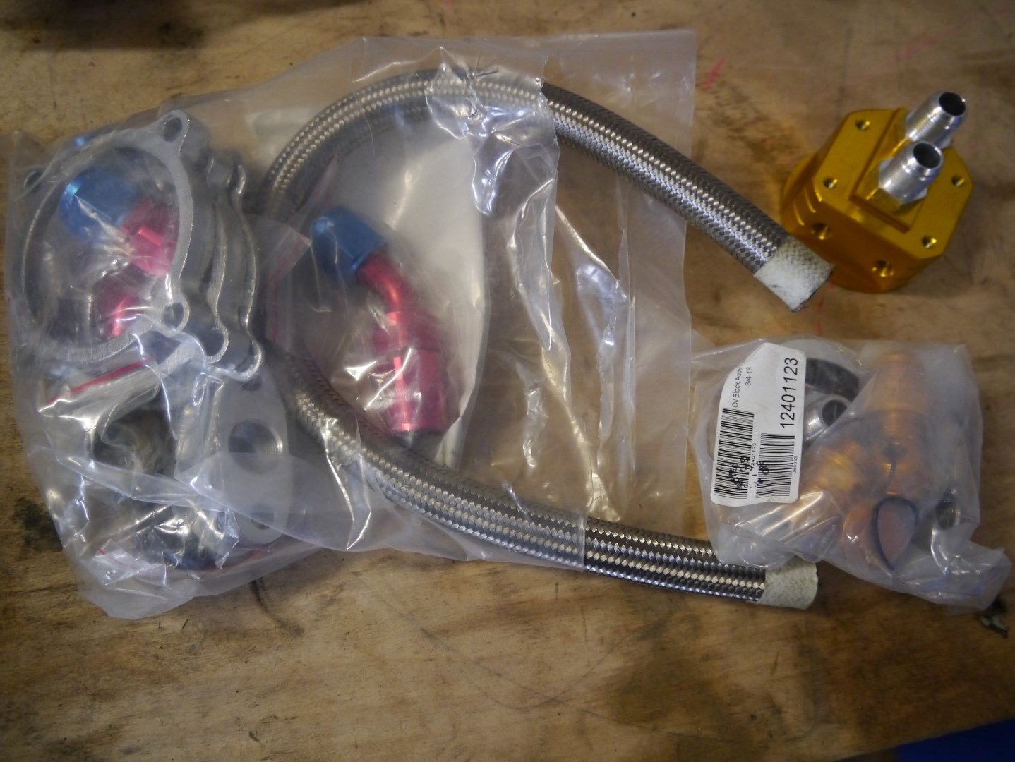 P1040667 (Large).JPG