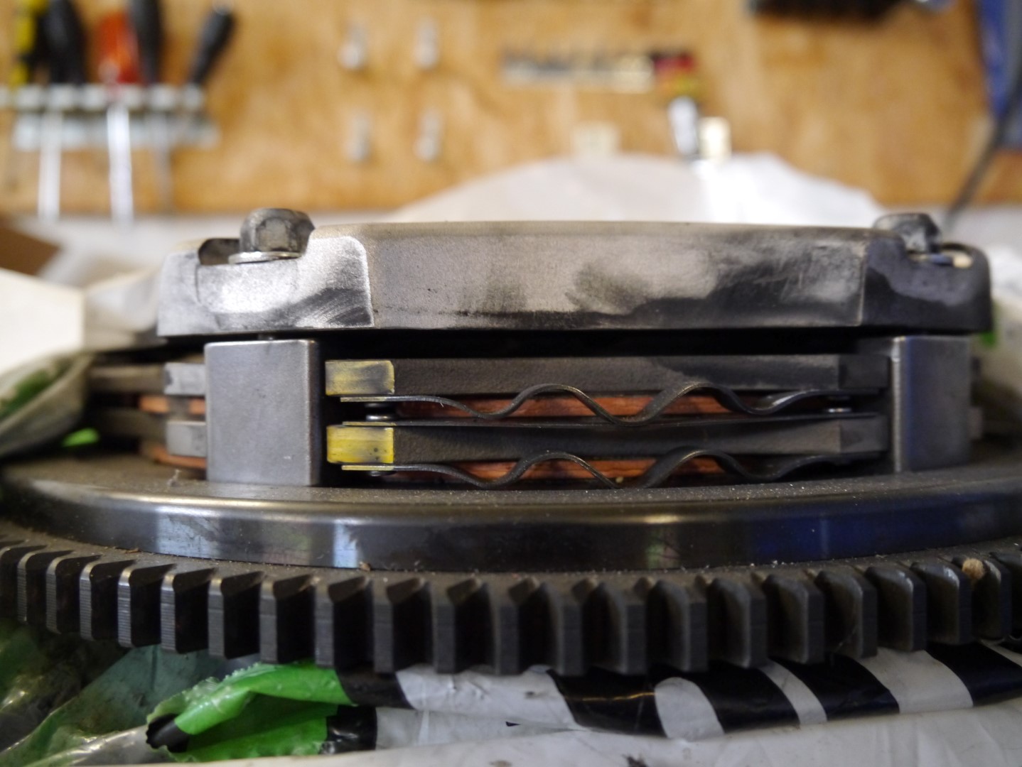 P1040669 (Large).JPG