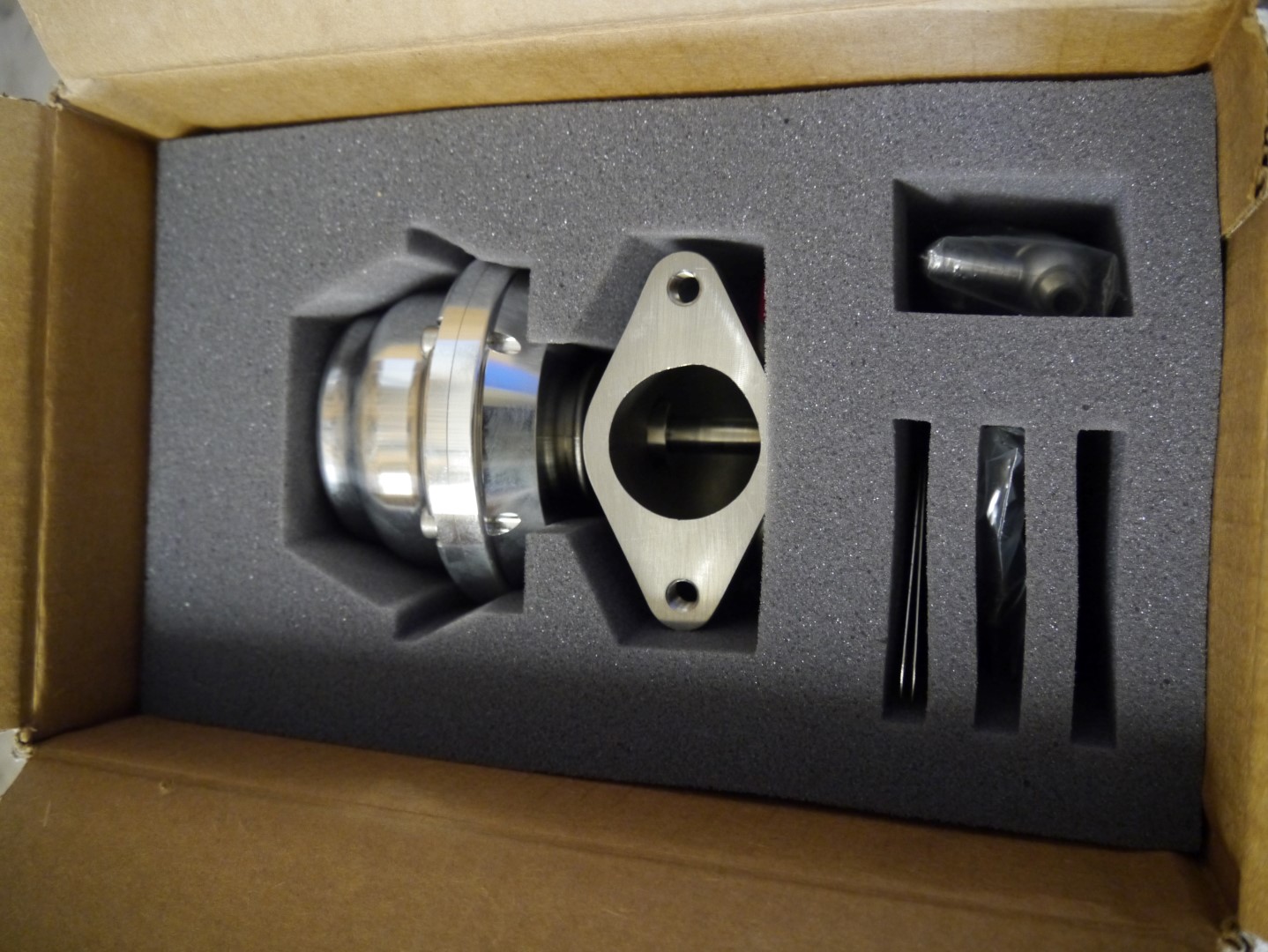 P1040671 (Large).JPG