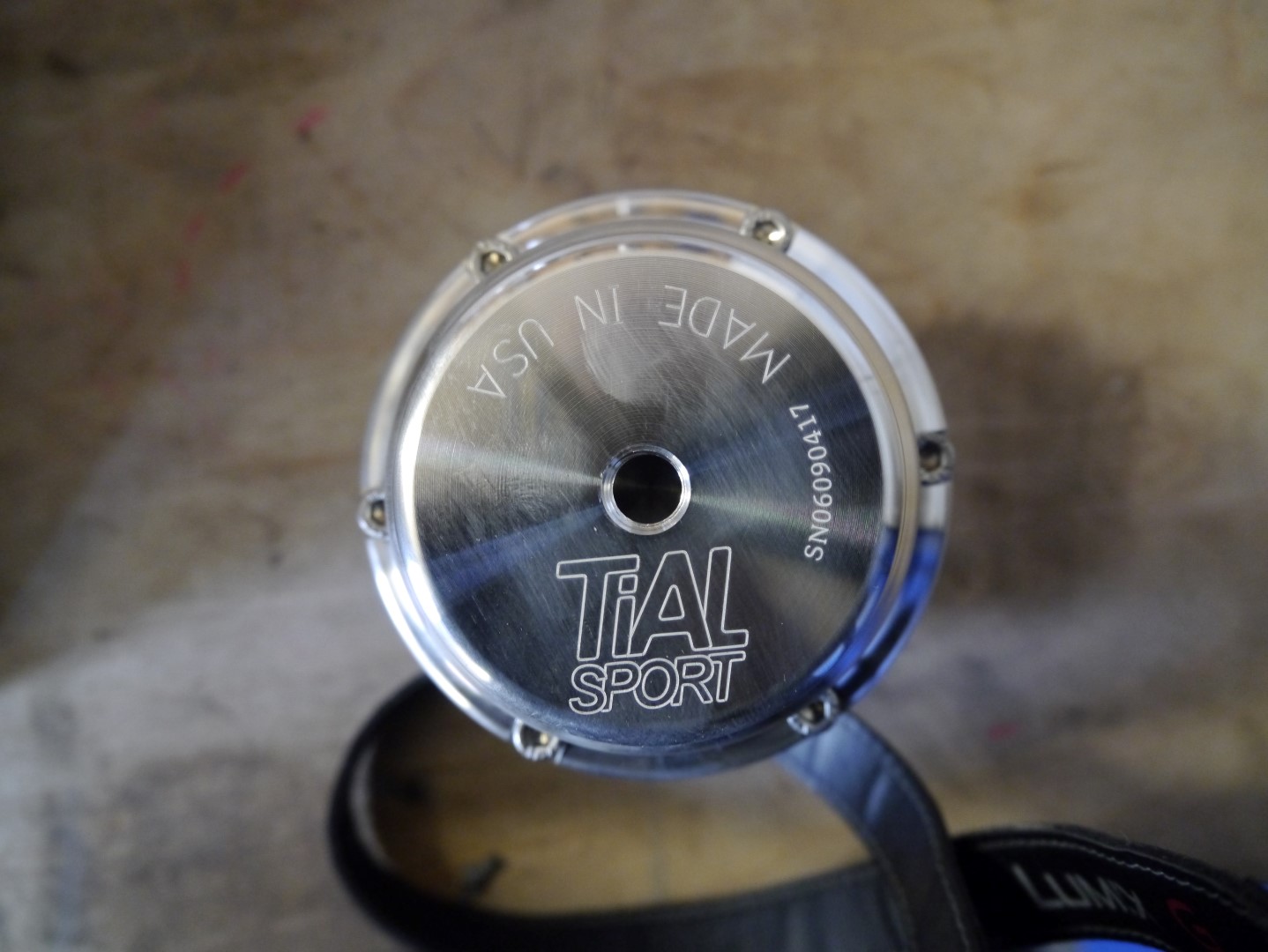 P1040672 (Large).JPG