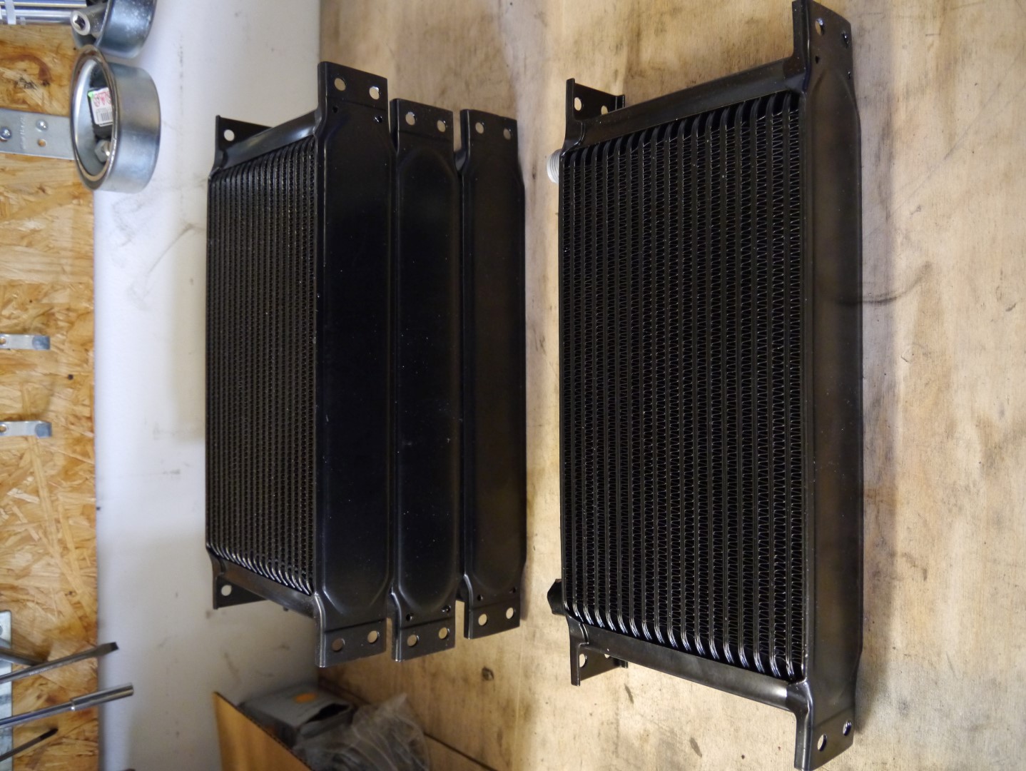 P1040676 (Large).JPG