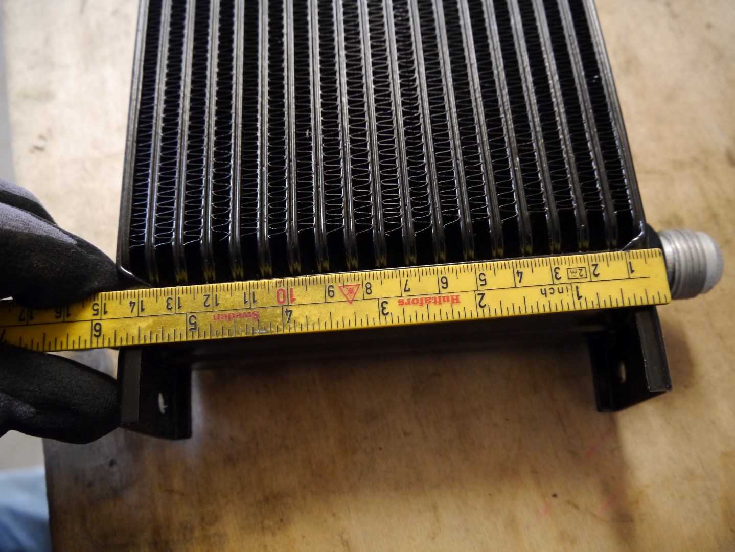 P1040678 (Large).JPG