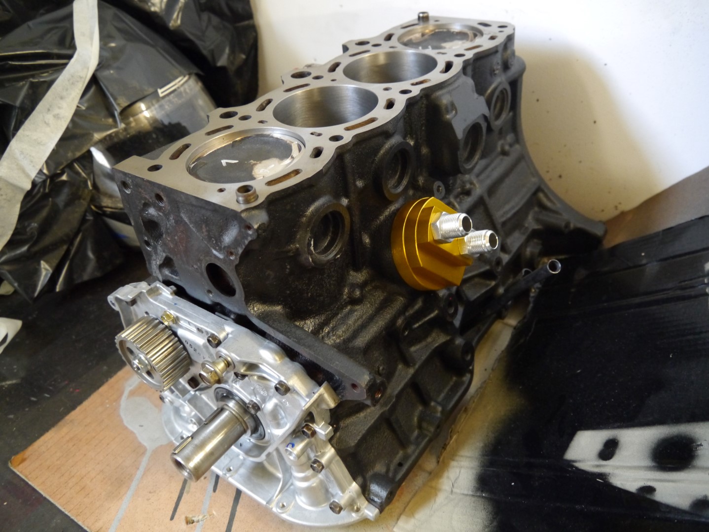 P1040689 (Large).JPG