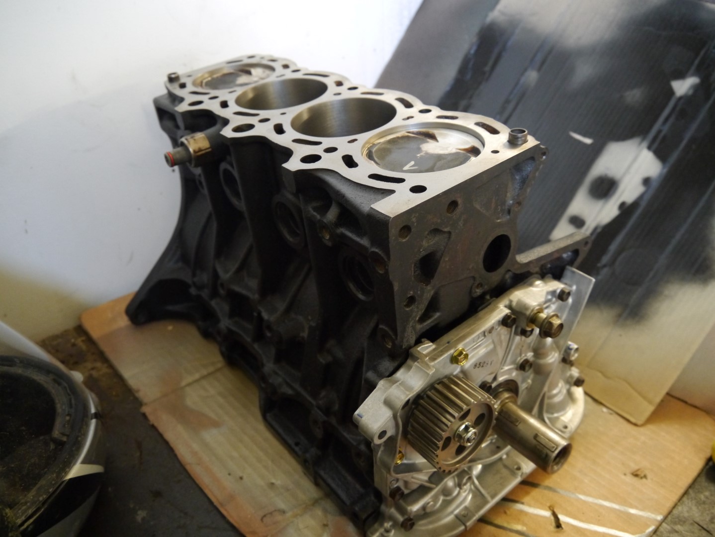 P1040690 (Large).JPG