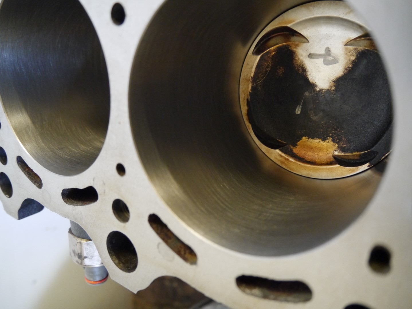 P1040691 (Large).JPG