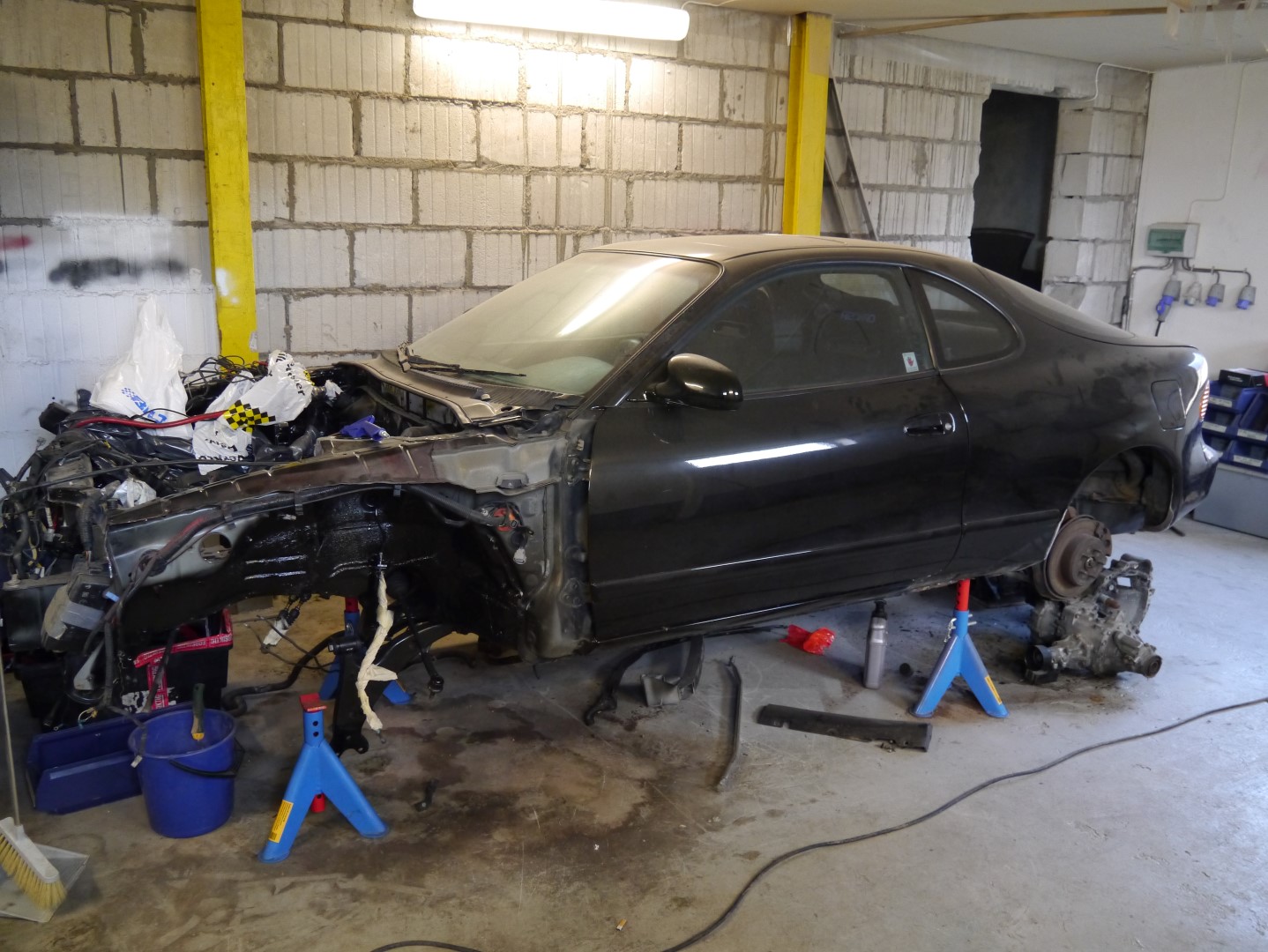 P1040695 (Large).JPG