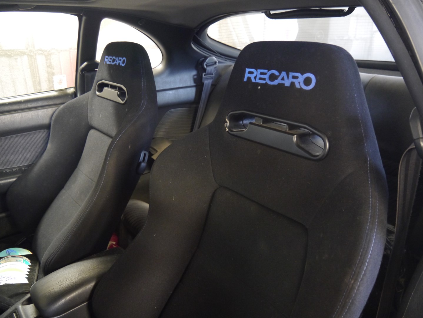 P1040697 (Large).JPG