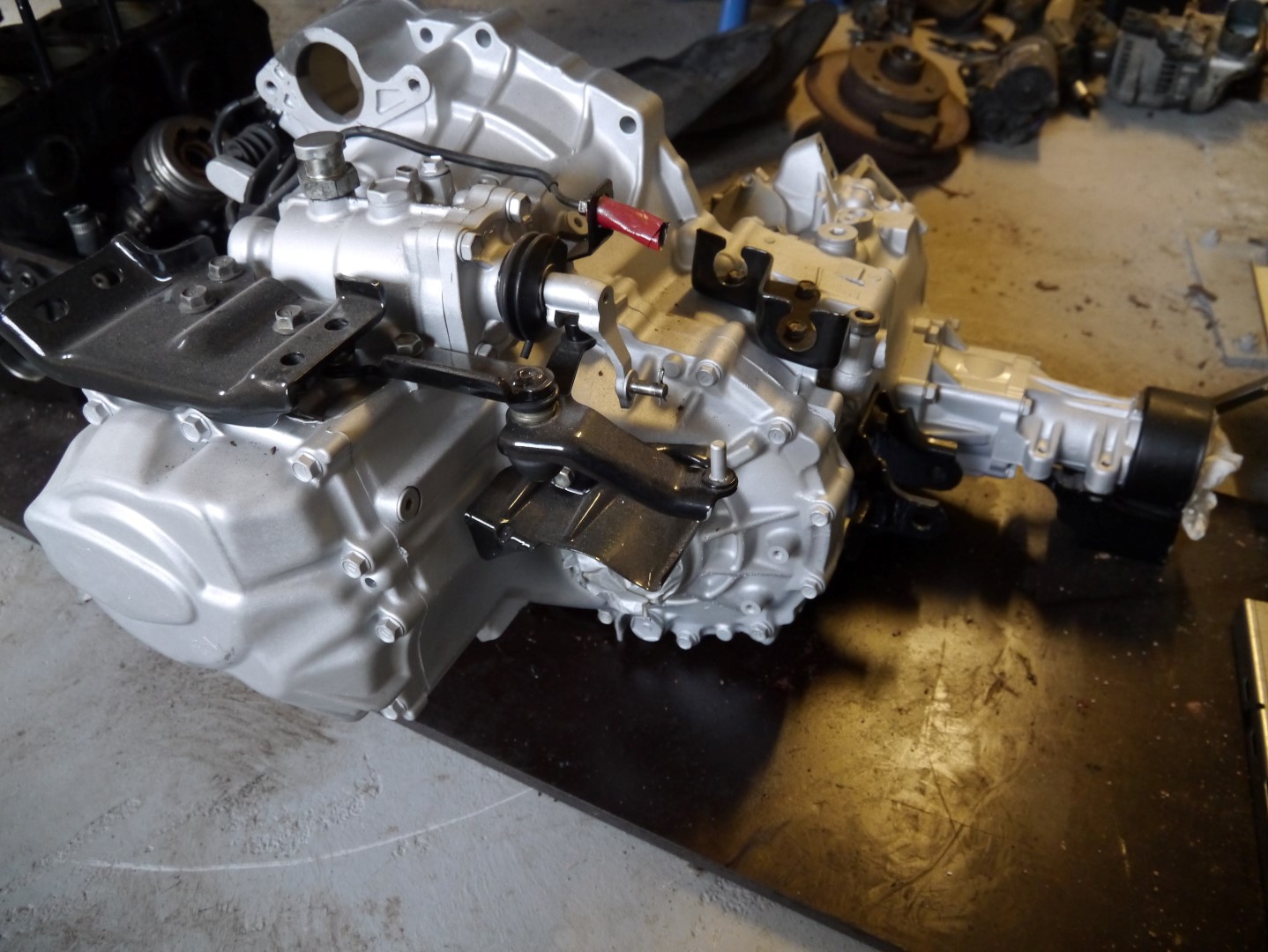 P1040699 (Large).JPG