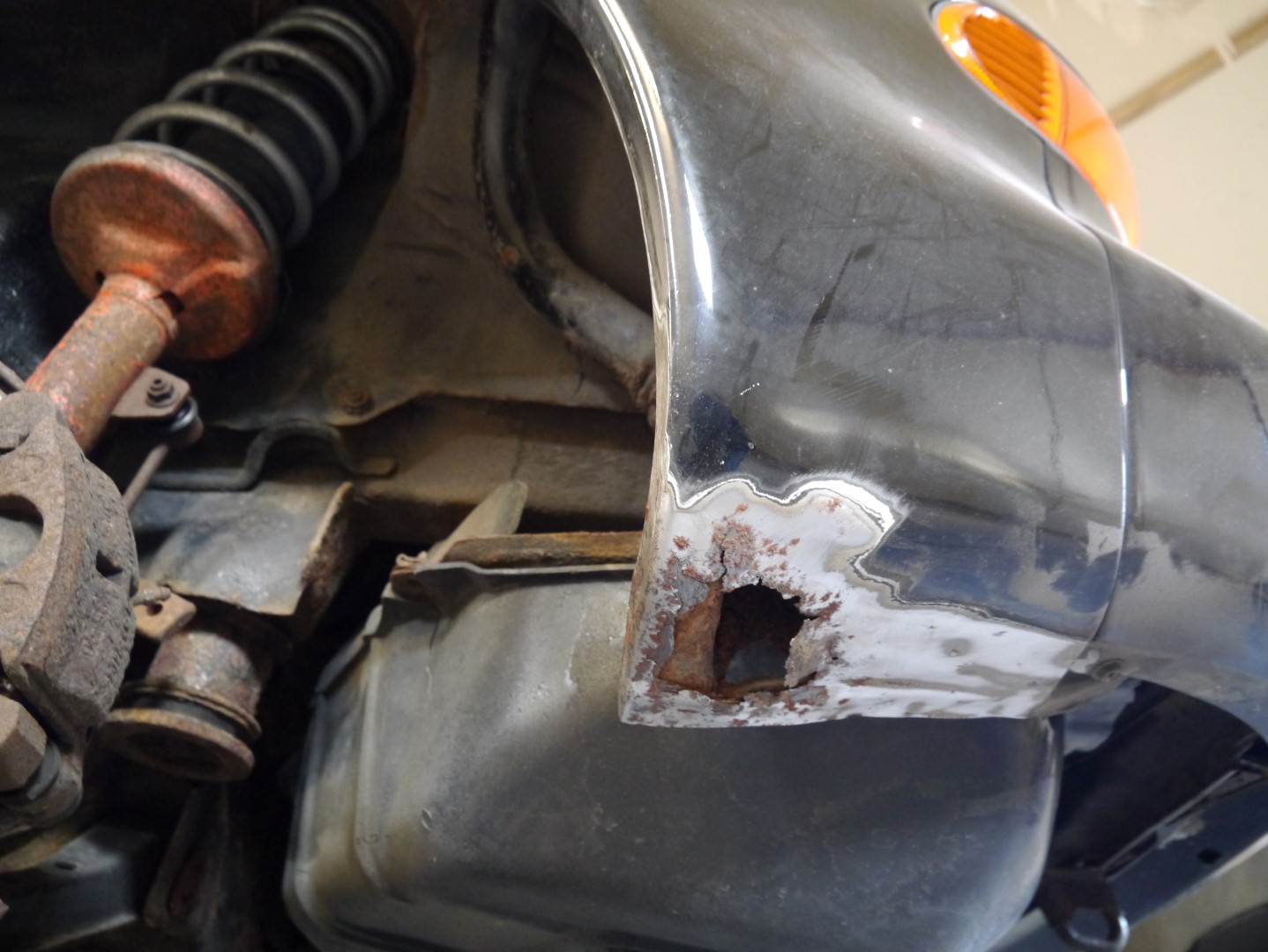 P1040701 (Large).JPG