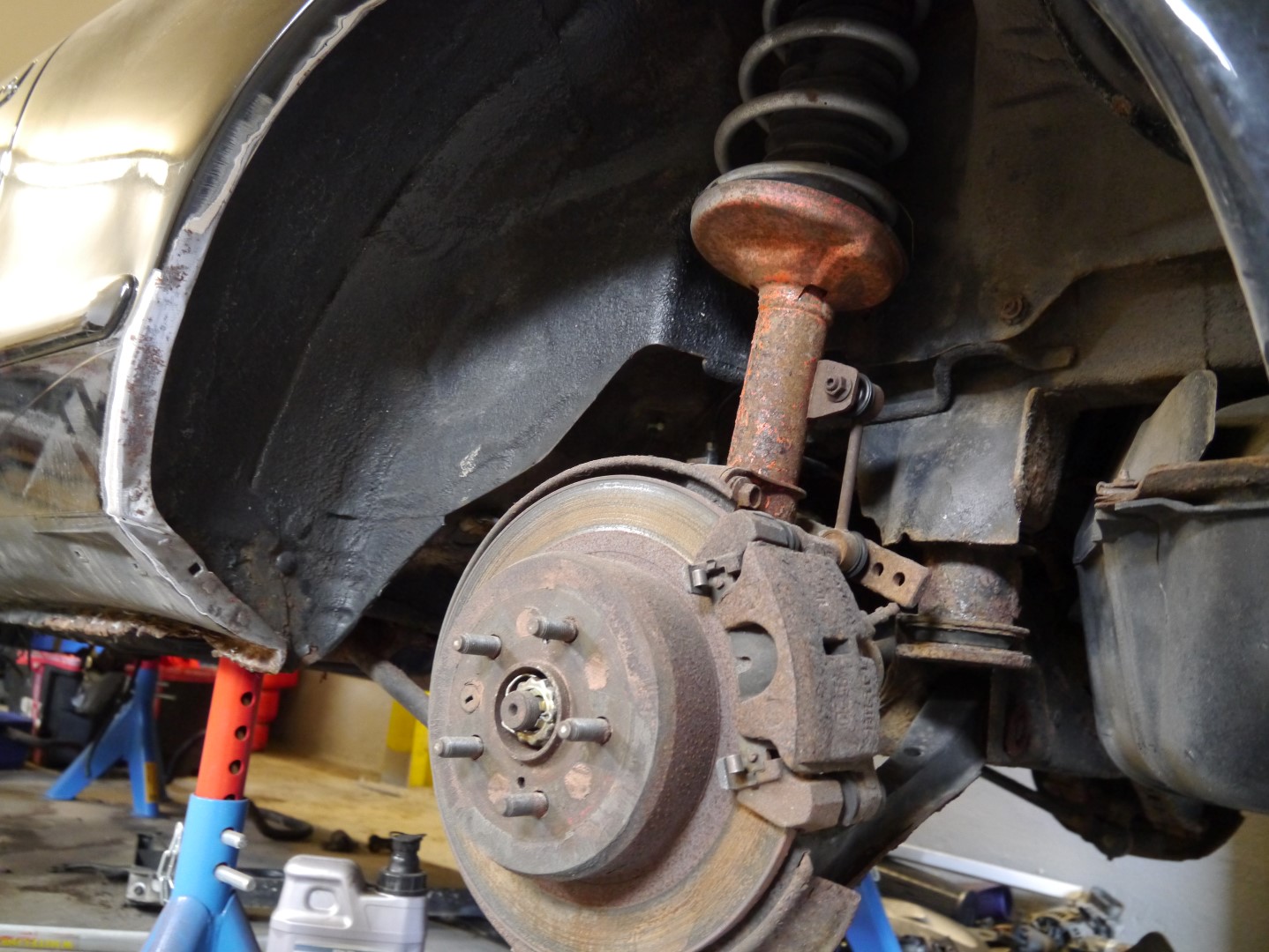 P1040702 (Large).JPG