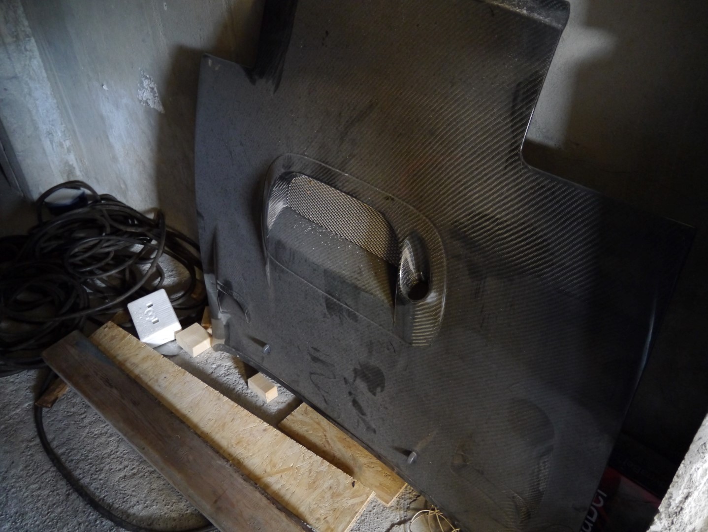 P1040704 (Large).JPG