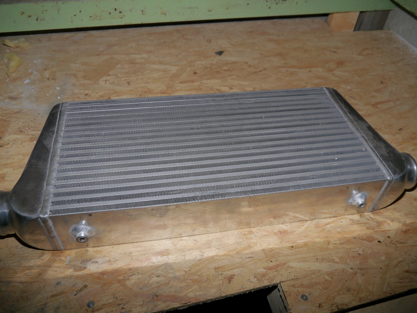 P1040708 (Large).JPG