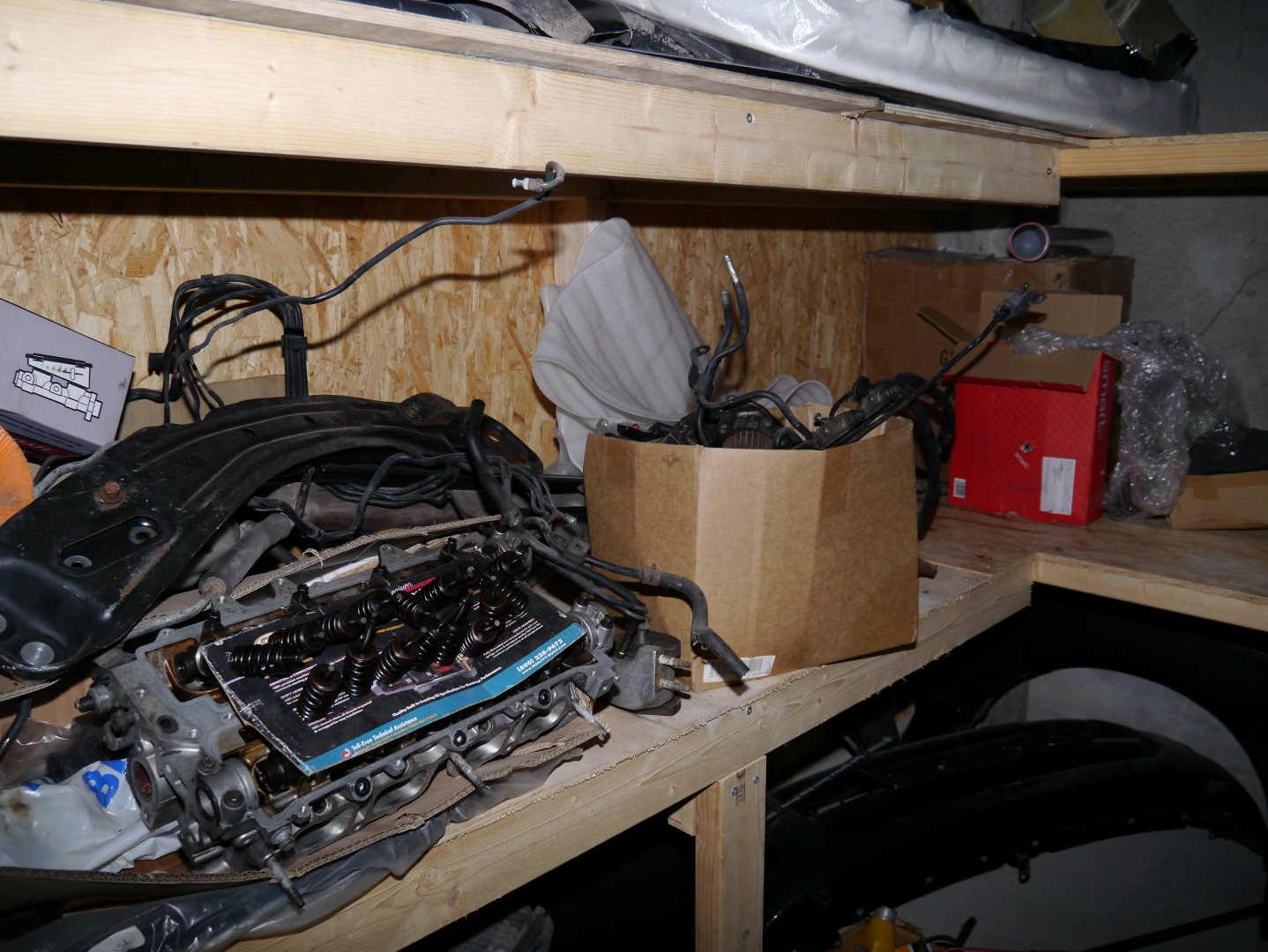 P1040710 (Large).JPG