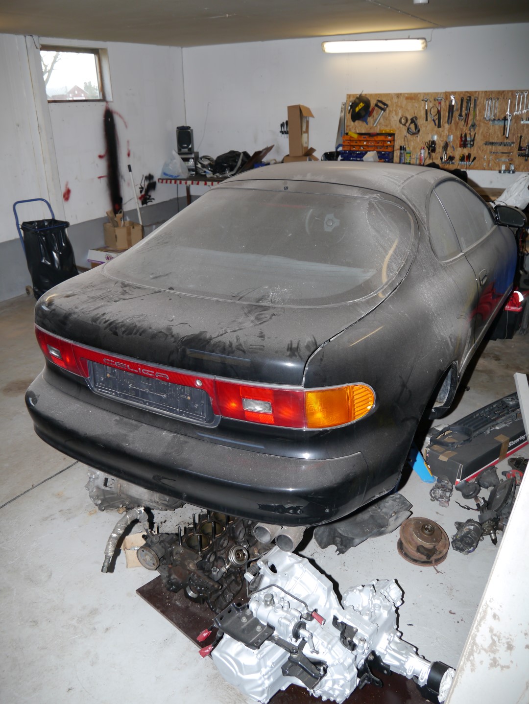 P1040716 (Large).JPG