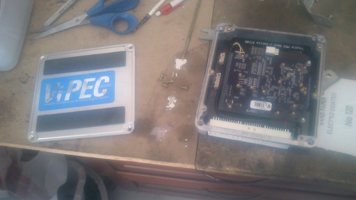 Datasprutt i org. hjerne boks tilpasset.