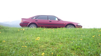DSC_1047 2000px.jpg